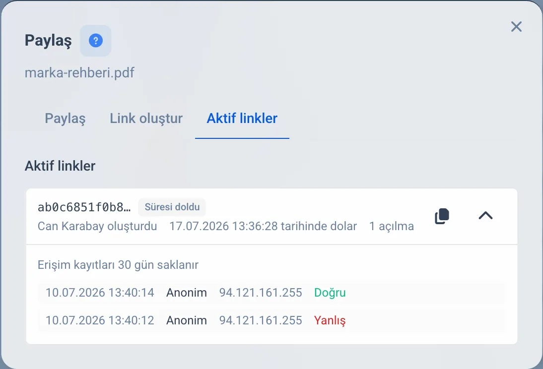 Erişim kaydı