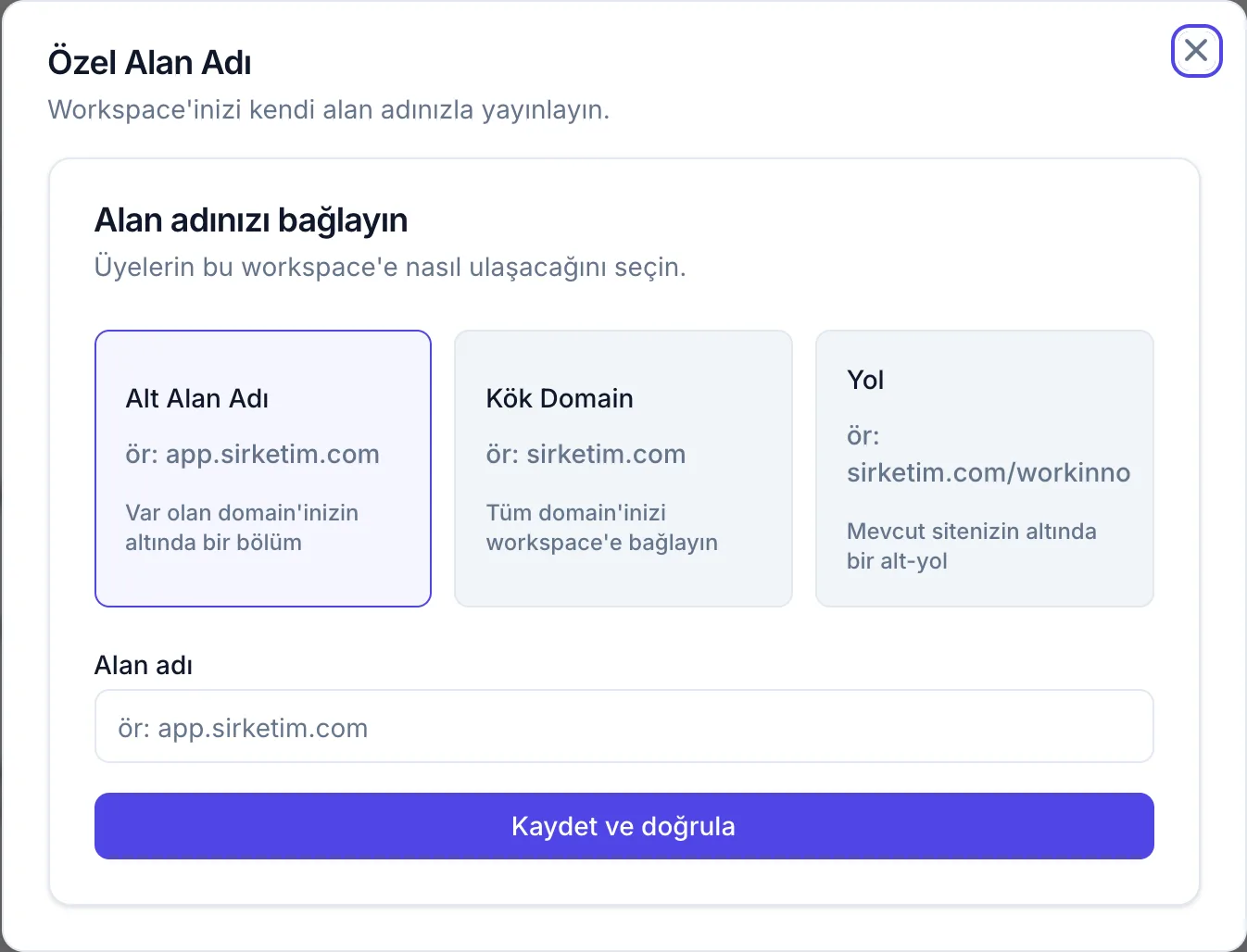 Özel alan adı penceresi